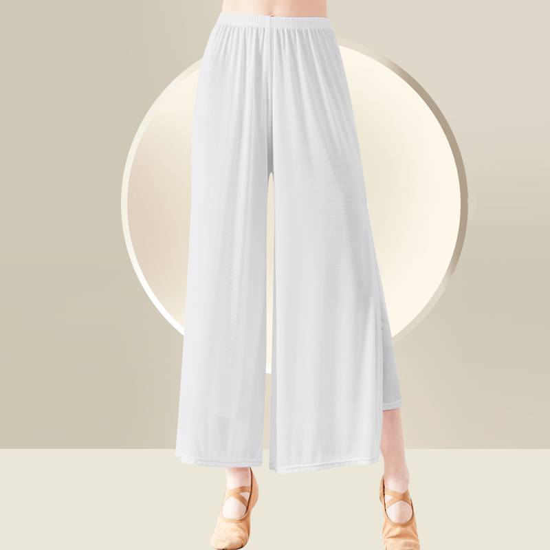 Modern dance pants classical dance clothing dance pants women's loose straight pants show thin nets black practice wide -leg pants