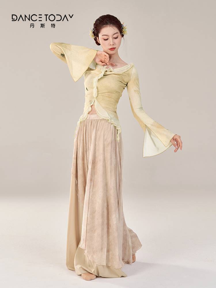 dancetoday Classical Chinese Dance Body Rhythm Serving Fairy Ferry Long Sleeve Top Tabes Performance Female Gauze