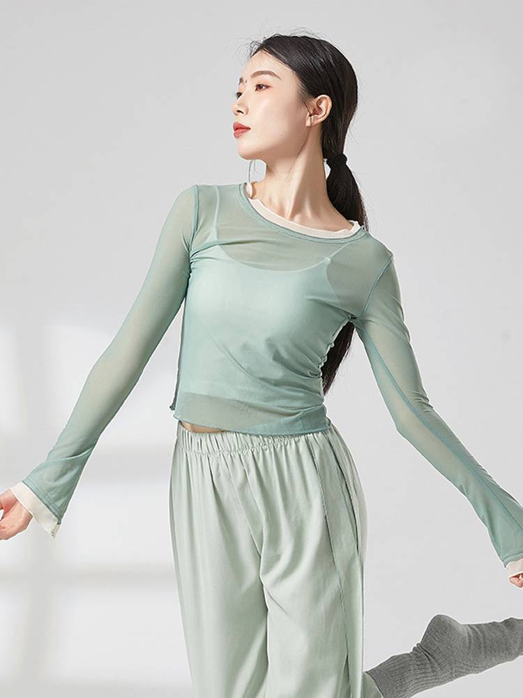 Classical modern dance body training exercise, clothing elastic mesh long -sleeved jacket, slim adult color performance service