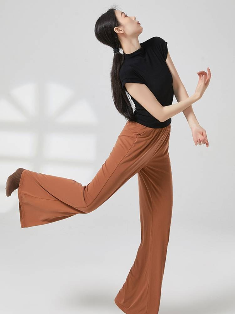 Modern dance clothing top dance dance training solid color short sleeves, thin classical dance body rhyme, turtleneck sports girl