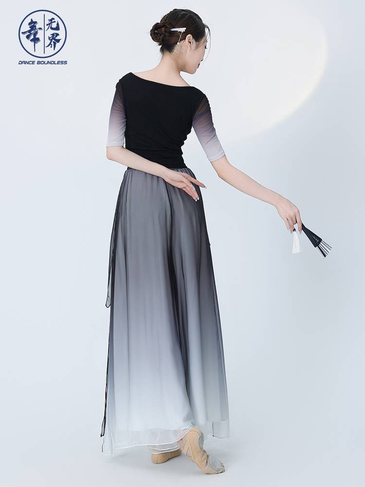 Dance without boundaries Modern dance gradient national charm Performance Classical dance exercise, female adult gauze dance clothing