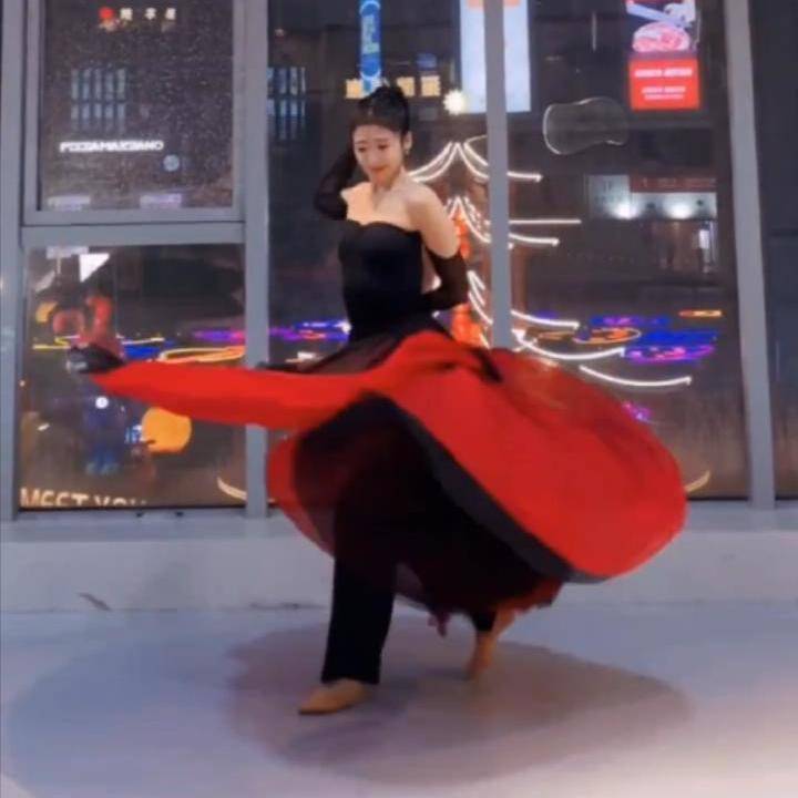 Classical Dance 720 degrees big skirt female thousands of songs black and white double -layer Chinese style modern dancers world dance service