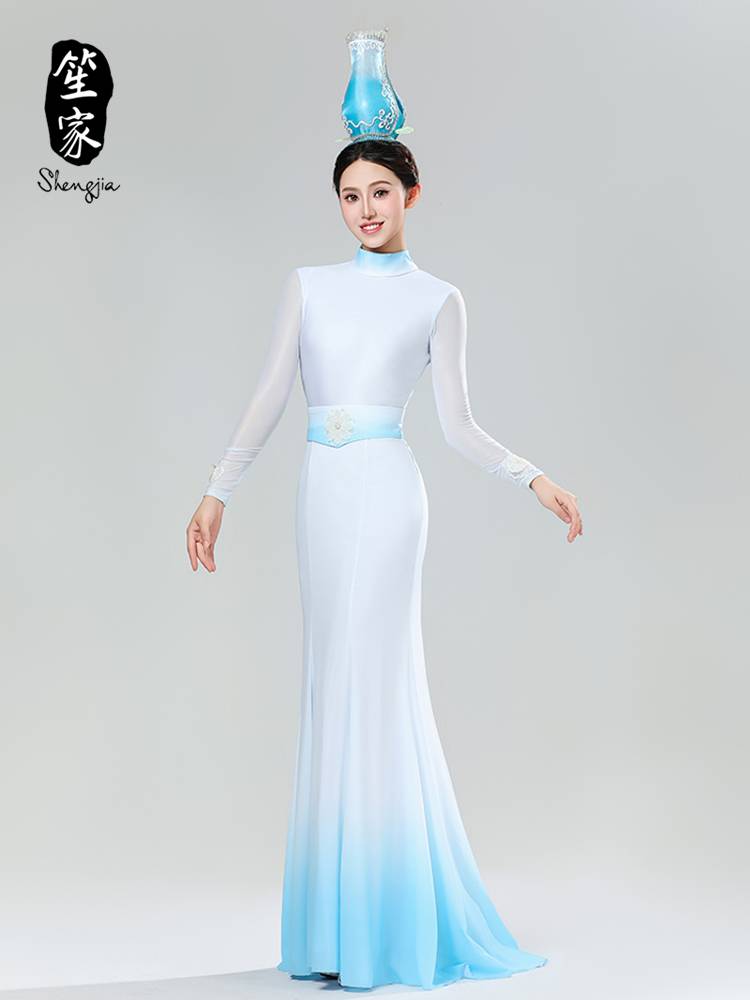 Shengjia 2024 Spring Festival Gala "Porcelain Shadow" The same improved version of the dance service modern dance stage classical service performance service