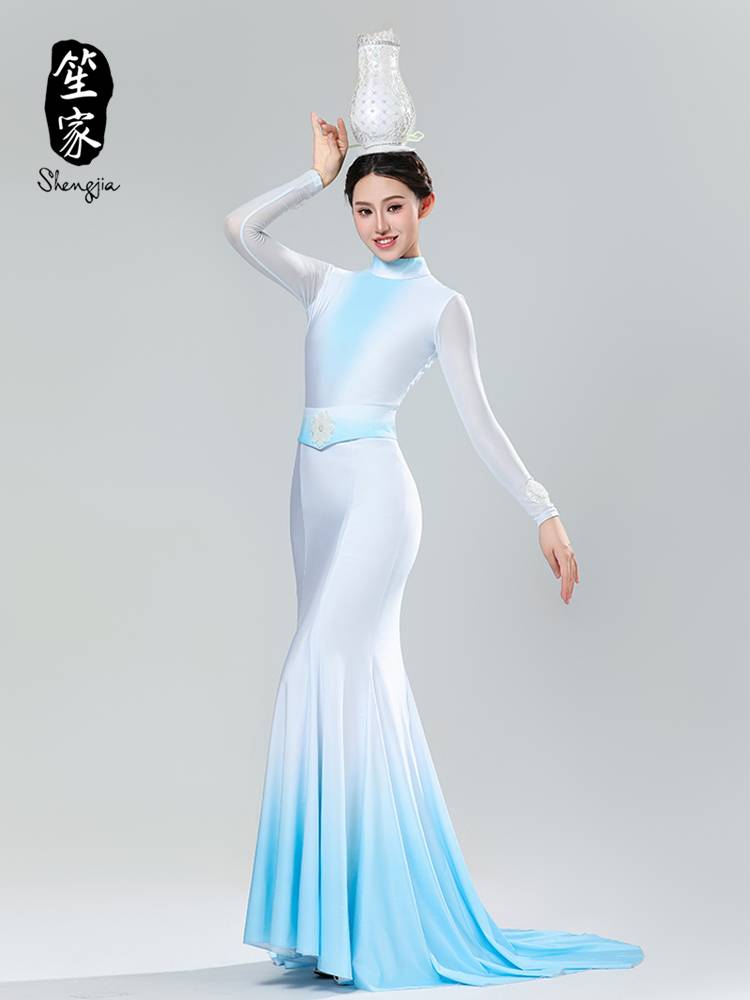 Shengjia 2024 Spring Festival Gala "Porcelain Shadow" The same improved version of the dance service modern dance stage classical service performance service