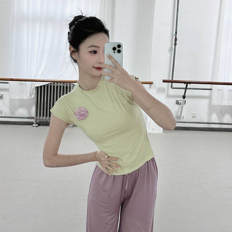 Classical Dance Dance Dance Female Summer Standing Sleeveless Dance Series Modern Dance Collection Training Student Chinese Dance Clothing