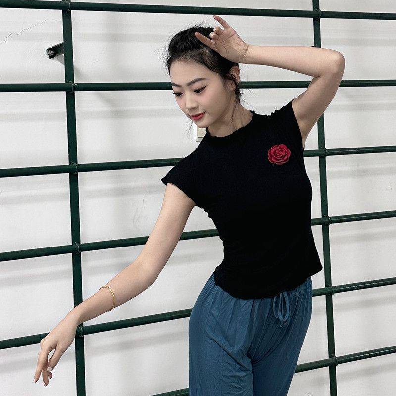 Classical Dance Dance Dance Female Summer Standing Sleeveless Dance Series Modern Dance Collection Training Student Chinese Dance Clothing
