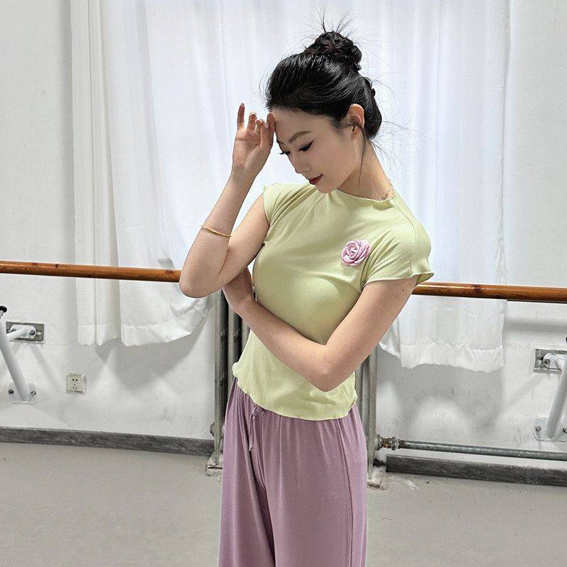 Classical Dance Dance Dance Female Summer Standing Sleeveless Dance Series Modern Dance Collection Training Student Chinese Dance Clothing