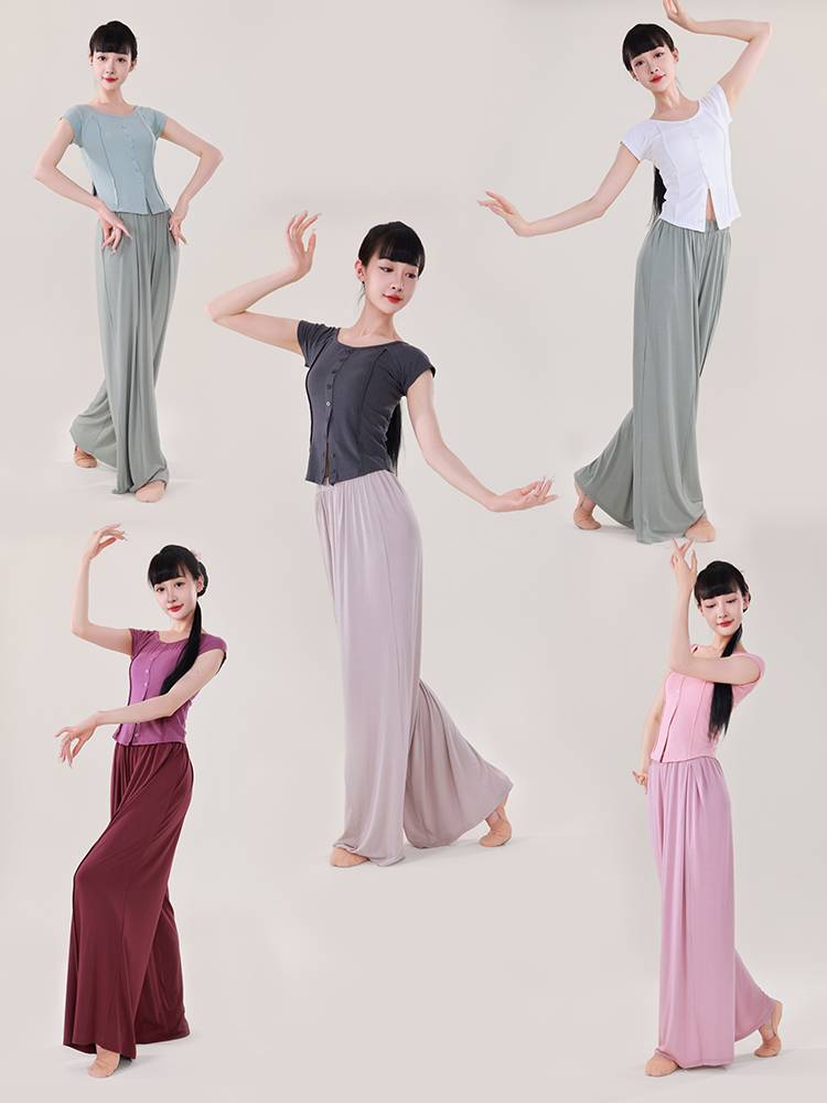 3136 Dance service female gray short -sleeved modern Chinese dancing daily daily wearing adults can practice short -sleeved top