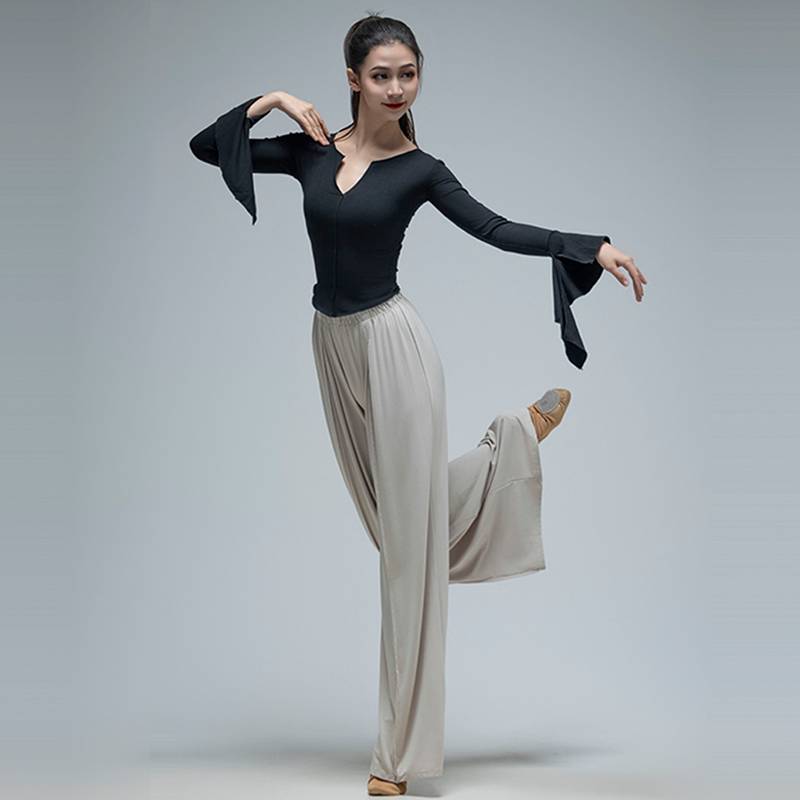 Modern dance exercise suit spring and summer long sleeve top female classical Chinese dance body wide -leg pants set dance clothing