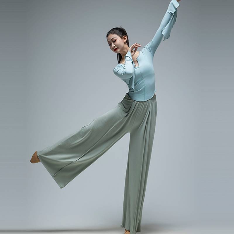 Modern dance exercise suit spring and summer long sleeve top female classical Chinese dance body wide -leg pants set dance clothing