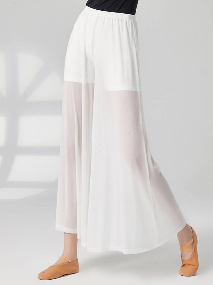 Loose classical dance dance wide -leg pants Silver fake two pieces of perspective modern dance pants performance clothes dancing exercises