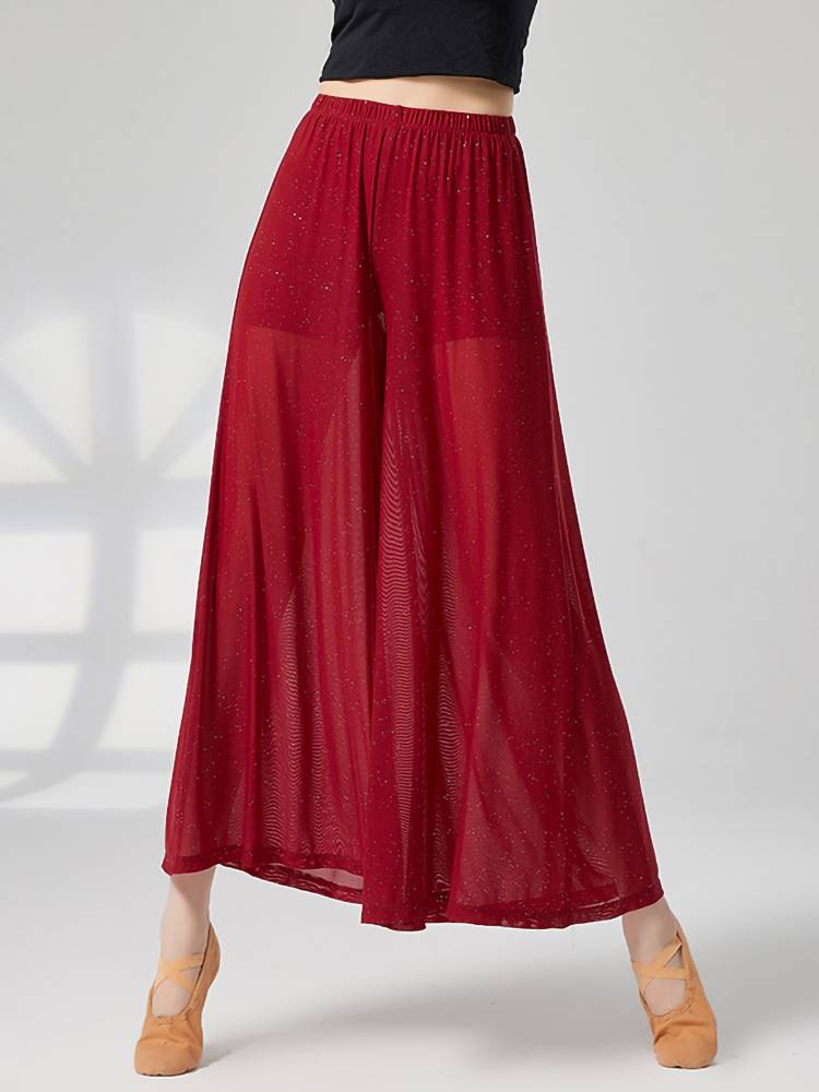 Loose classical dance dance wide -leg pants Silver fake two pieces of perspective modern dance pants performance clothes dancing exercises