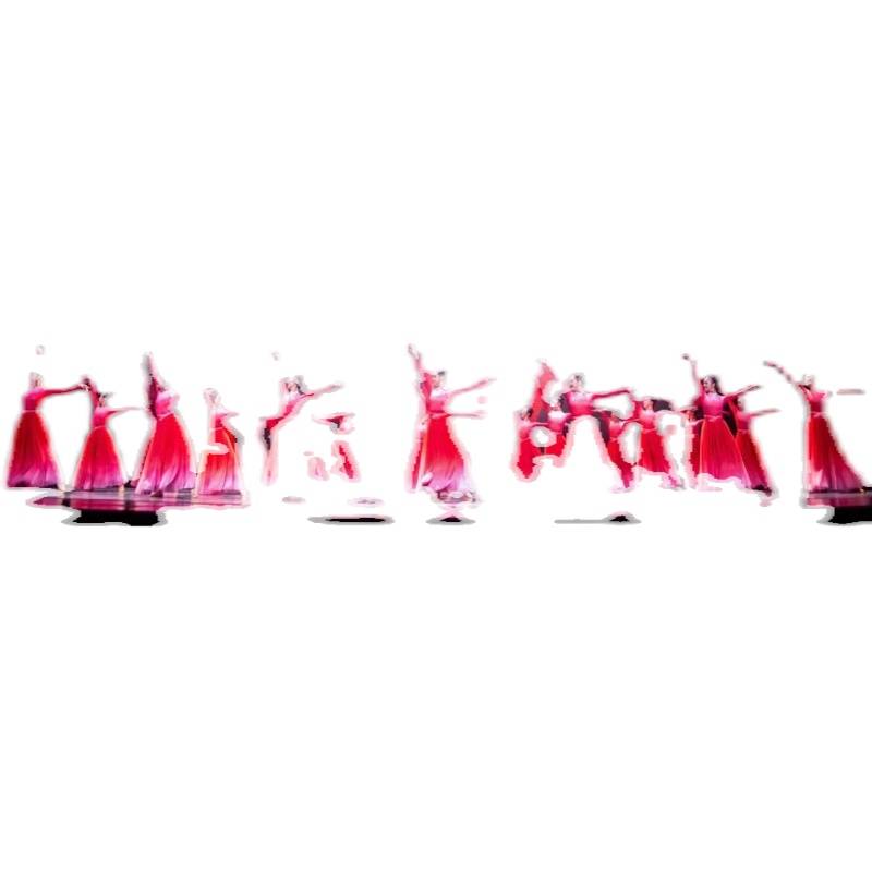 Spring Festival Gala Modern Dance Opening Dance "Bloom" performance service adult ballet elegant big skirt practice dance dance women