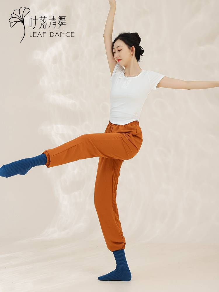 Ye Luoqing Dance Classical Dance Dance Dance Dance Fitting Fita Training Daily Clothing Modern Dance Short -sleeved Katsi Top