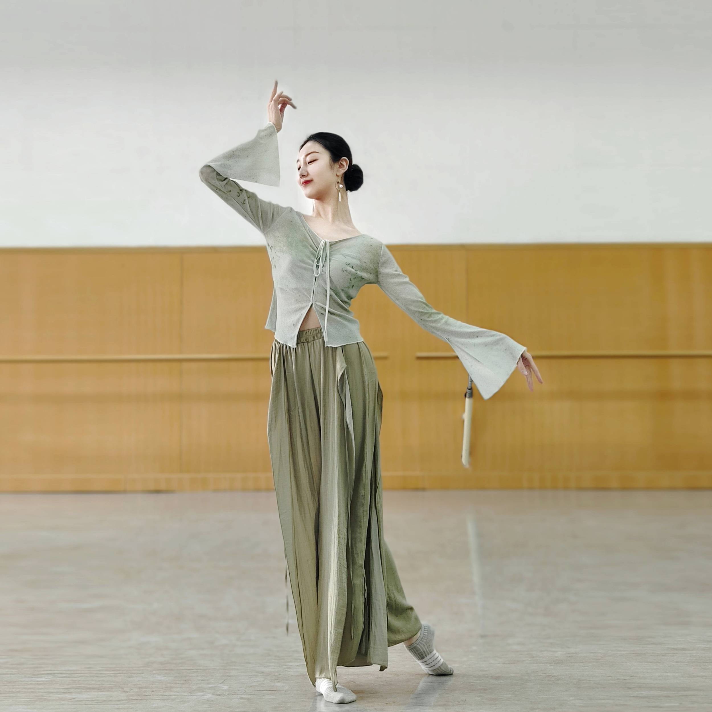 Classical dance printing long sleeve top Chinese dance service modern dance exercise skills suit suit performance performance
