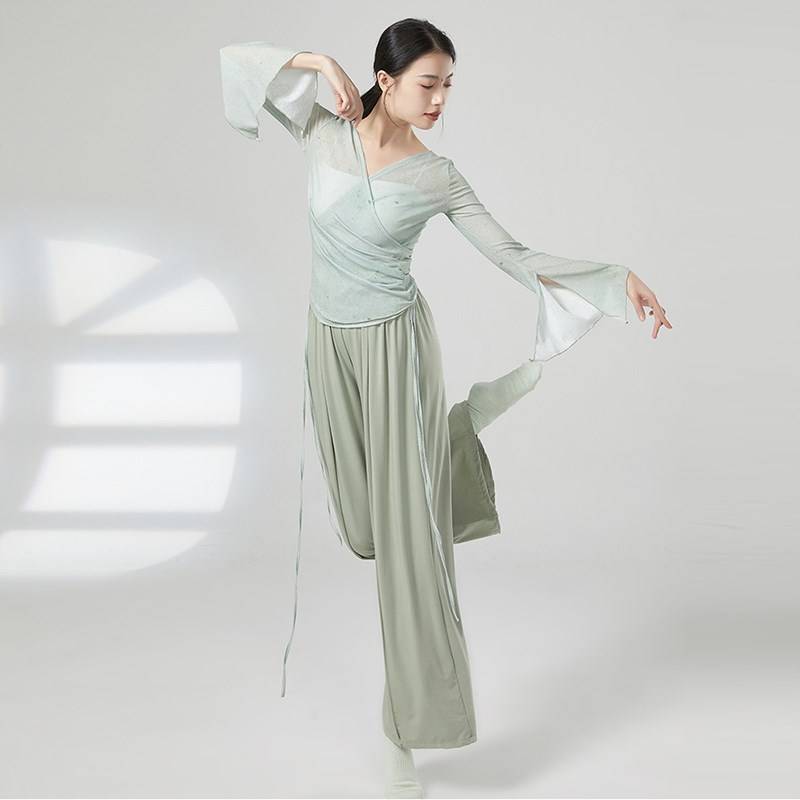 Spring Classical Dance Women's Rhymes Rhymes High Sleeve Character Chinese Modern Dance -shaped Body V Training Dance Practice