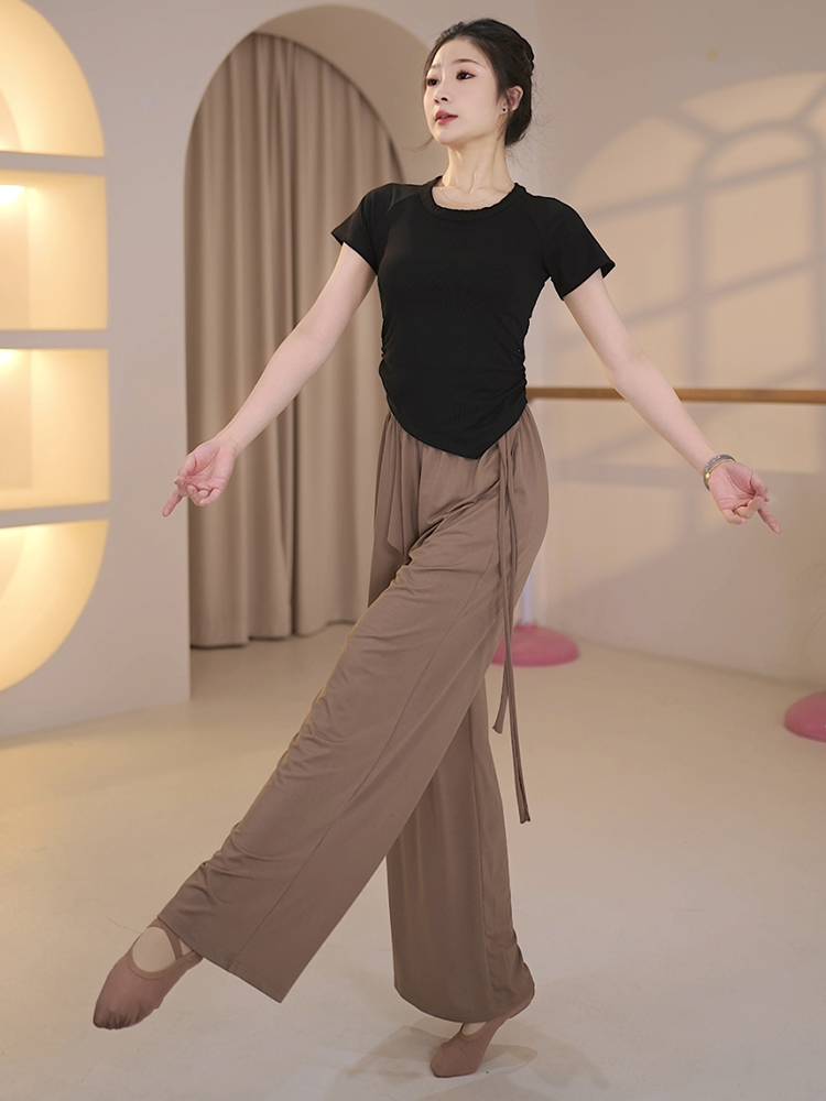 3254 dance service female Hyundai China 2024 new classical short -sleeved body practice dancing special adult top