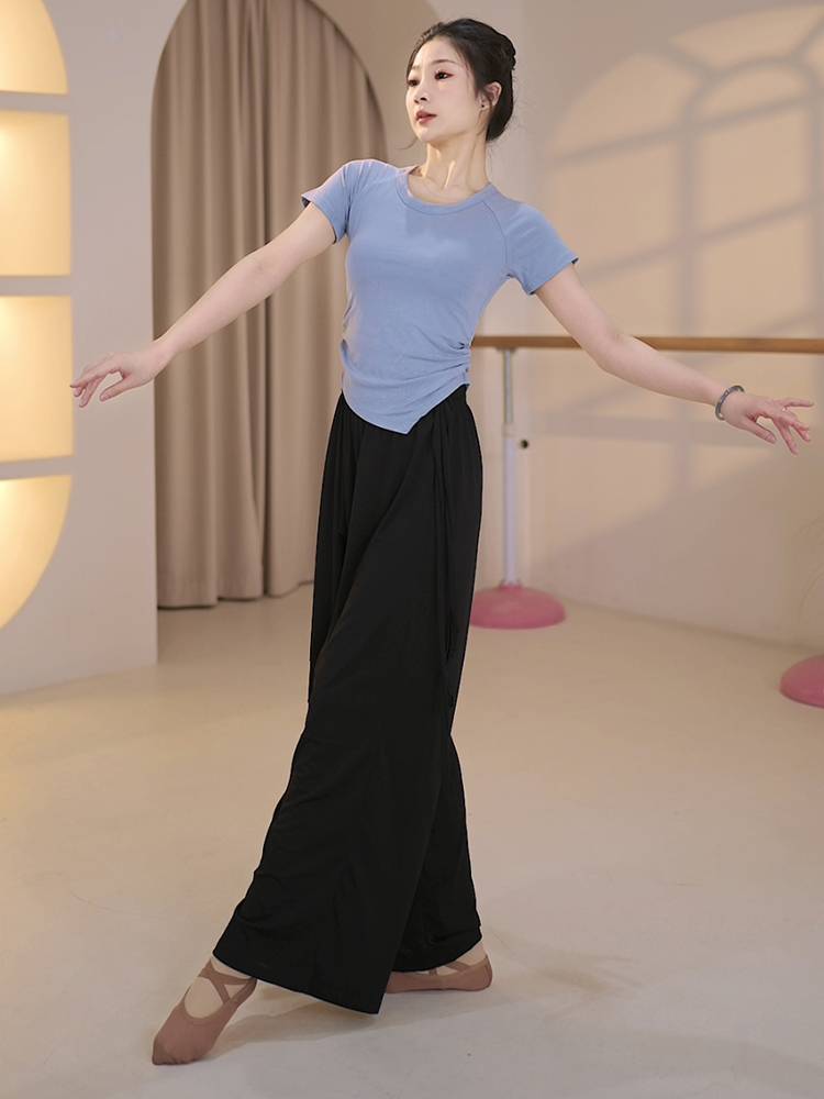 3254 dance service female Hyundai China 2024 new classical short -sleeved body practice dancing special adult top