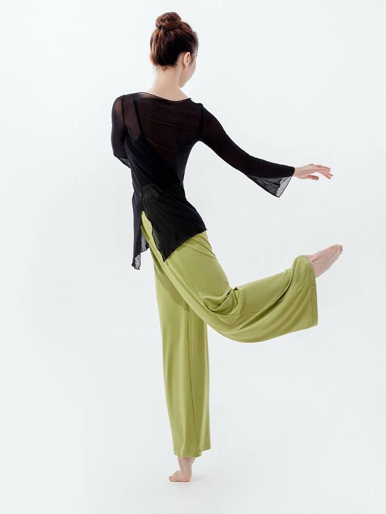 2023 New Danshig Dance Pants Female Summer Modal Wide Pants Practice Modern Dance Pants Adult