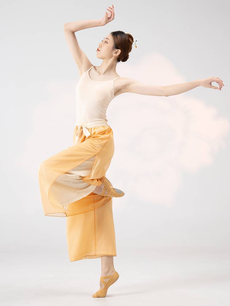 Xuan Palace Classical Dance Clothing with a female suspender vest with chest pads Modern Dance Practice Chinese Dance top