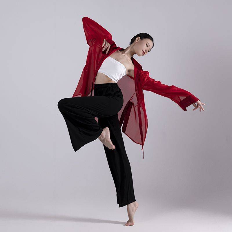 Modern dance exercise uniforms loose shirt straight dance pants in summer elegant high -level high -level female top
