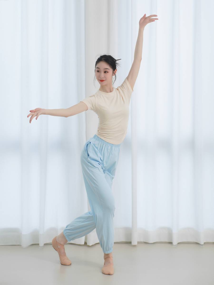 Ji Dance Dance Short -sleeved top female Chinese Dance Classical Dance Modern Dance Sports Service Services Summer Daily wear can be worn
