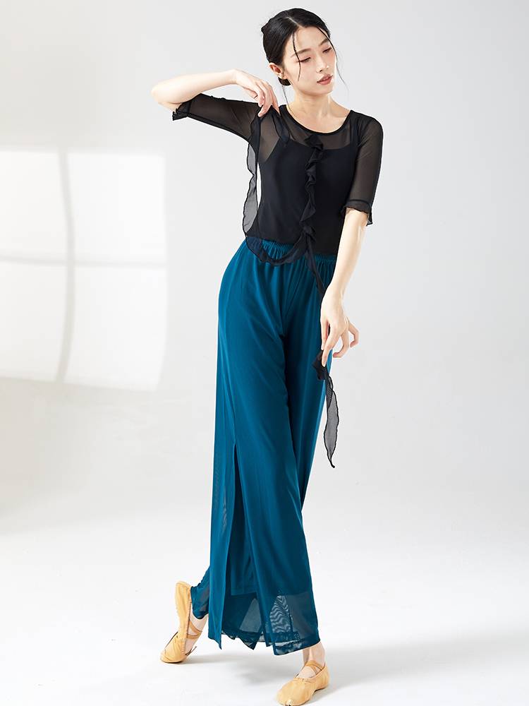 Modern dance exercise, female short -sleeved body dance top, wide -leg Hongyan pants medium long classical dancing net gauze