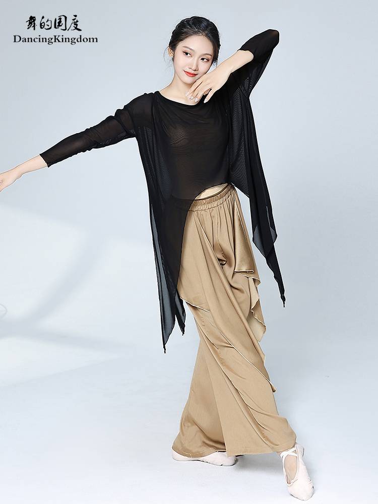 Modern dance suit slim body practice service female adult tops are thin, loose and classical dance Chinese dance performance service