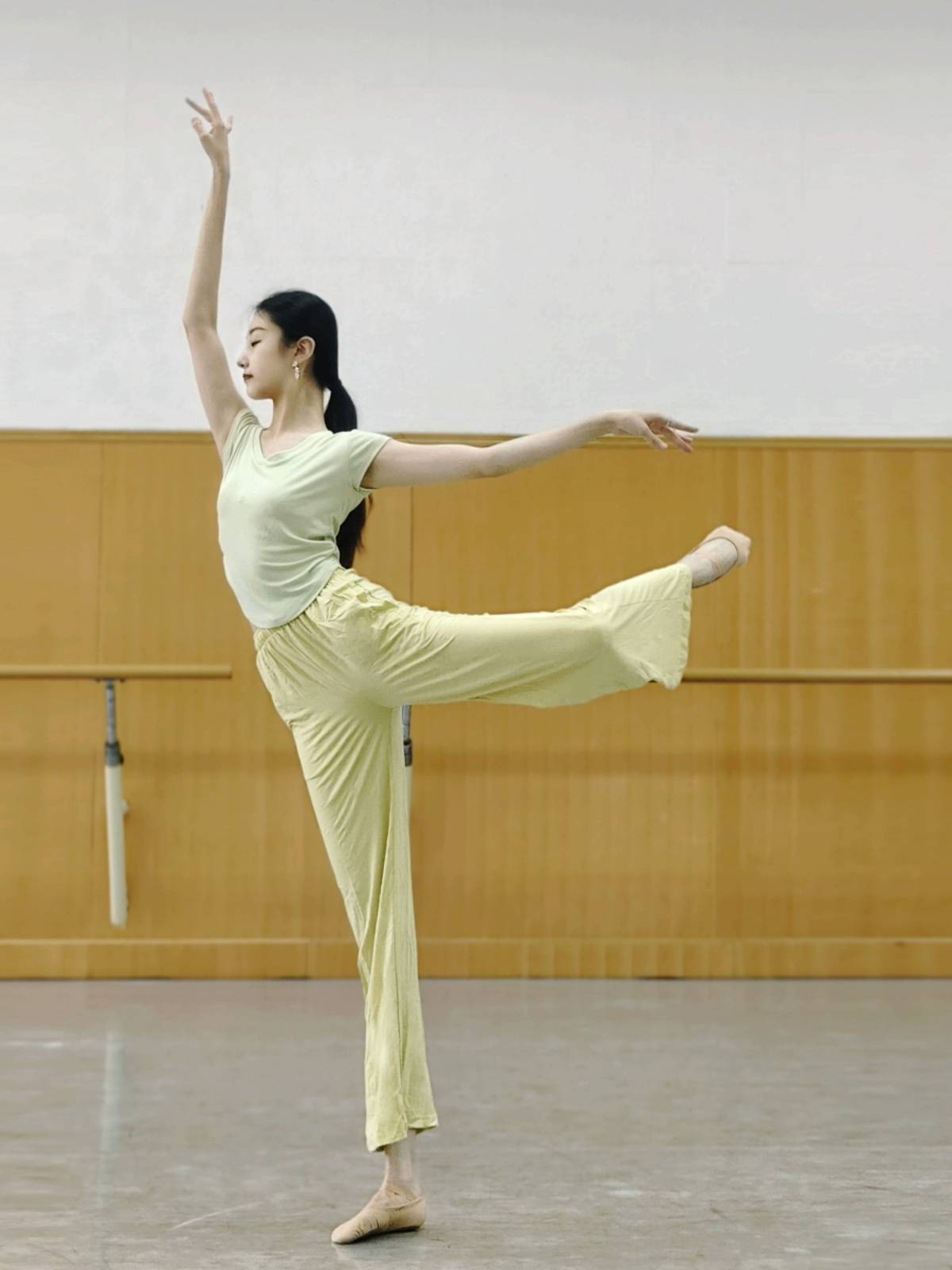 Summer adult modern dance clothing short -sleeved top training professional grade Chinese classical dancing female slim yoga