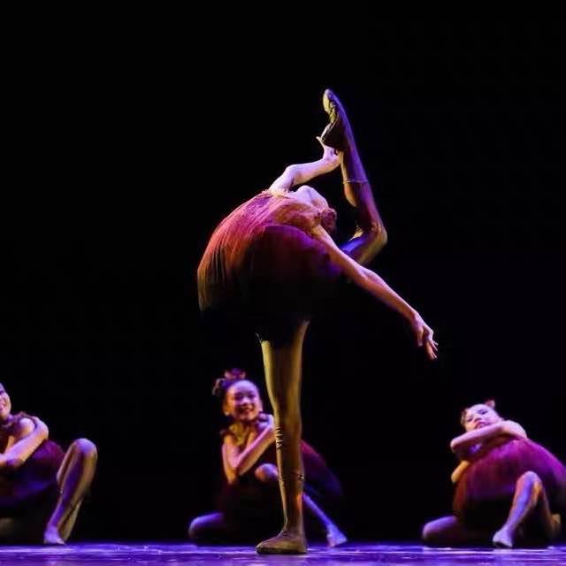 Xiaohe style small seed performance service for men and girls modern dance plant seed dance performance items spring and summer clothing