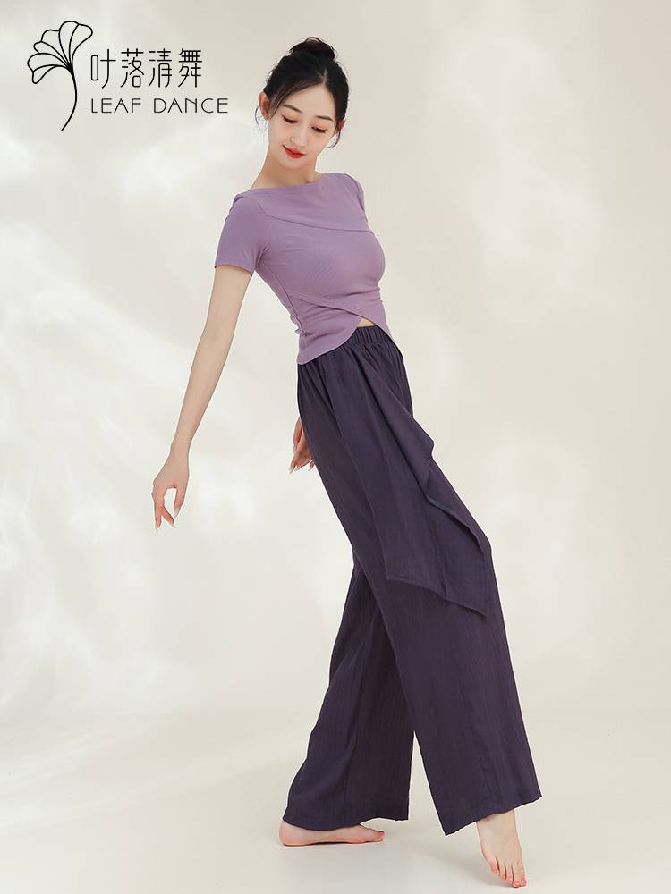 Ye Luo Qing Dance Classical Dance Dance Dance Direction Services Large Thin Women's Training Services Modern Dance Short Sleeve Top