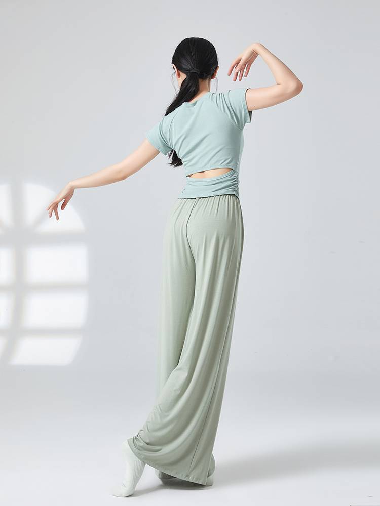 Ai Wu Ge Modern Dance Practice Sports Server Adult Summer New Short Sleeve Back Top Top Female Chinese Dance Service