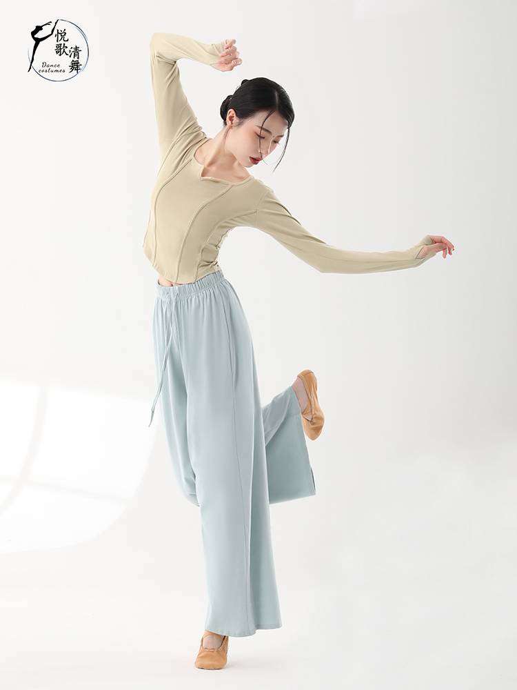 Modern dance pants dance clothes Chinese dance performance service men and women loose wide -leg pants classical dance exercise skills summer
