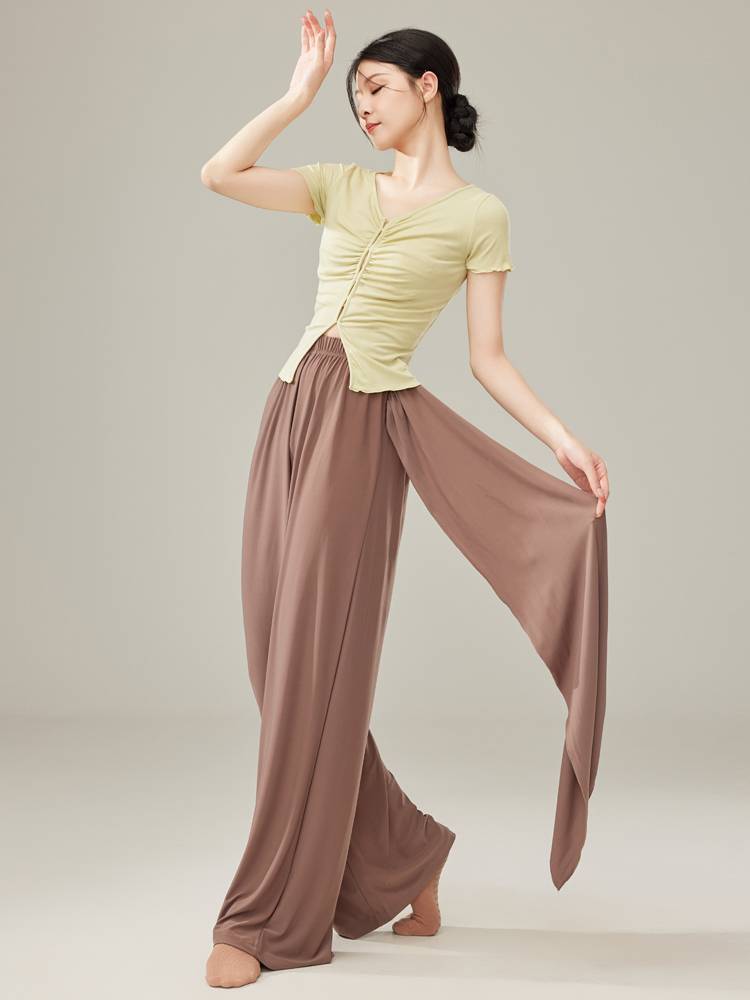 Shangmai Classical Dance Practice Female Pants Flower Wide Leg Pants Adult Dance Modern Dance Pine Pants