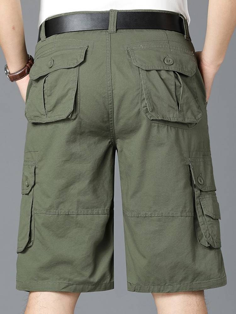 Camel's new shorts, shorts, shorts, shorts, shorts