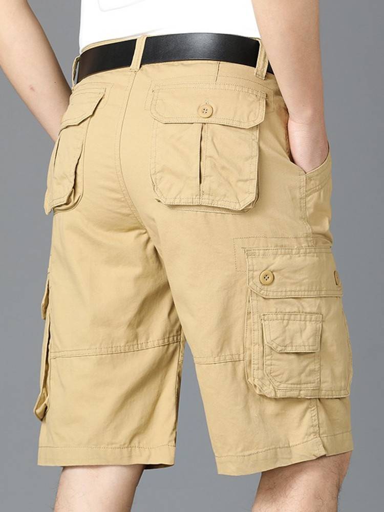 Camel's new shorts, shorts, shorts, shorts, shorts