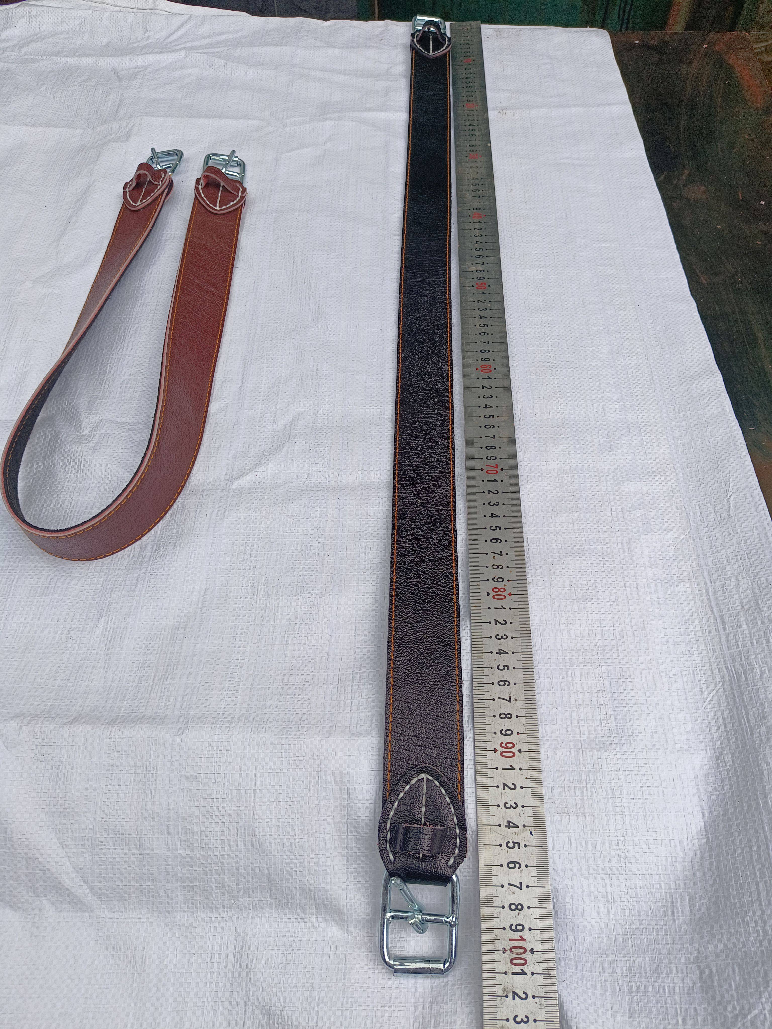 "Stealed with strong and durable horse pelvis