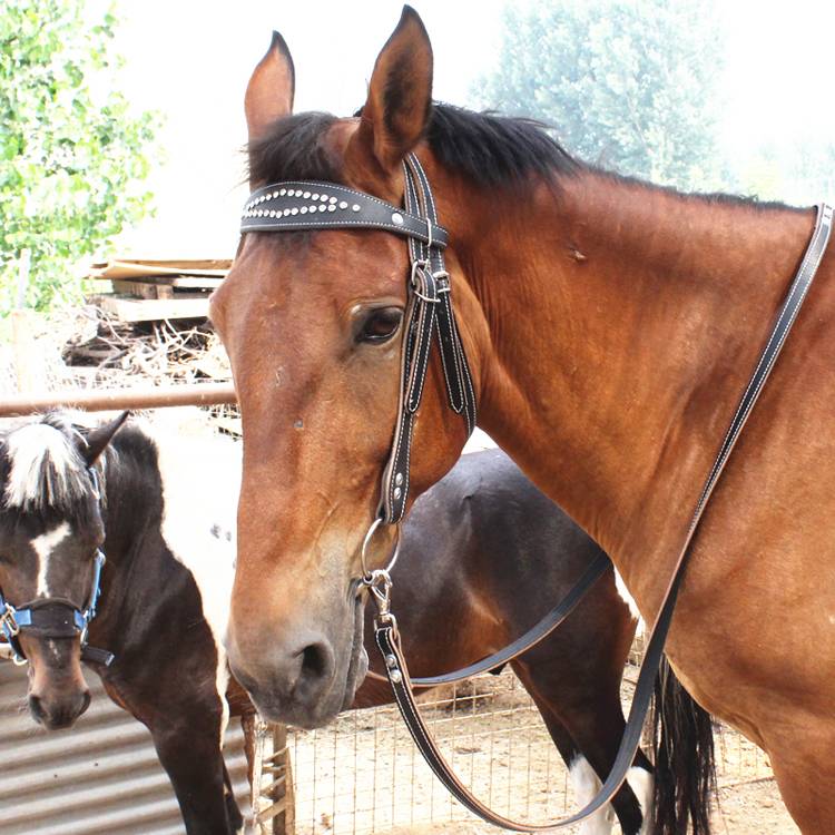 Drilling + black + pony + cow-skin + leather
