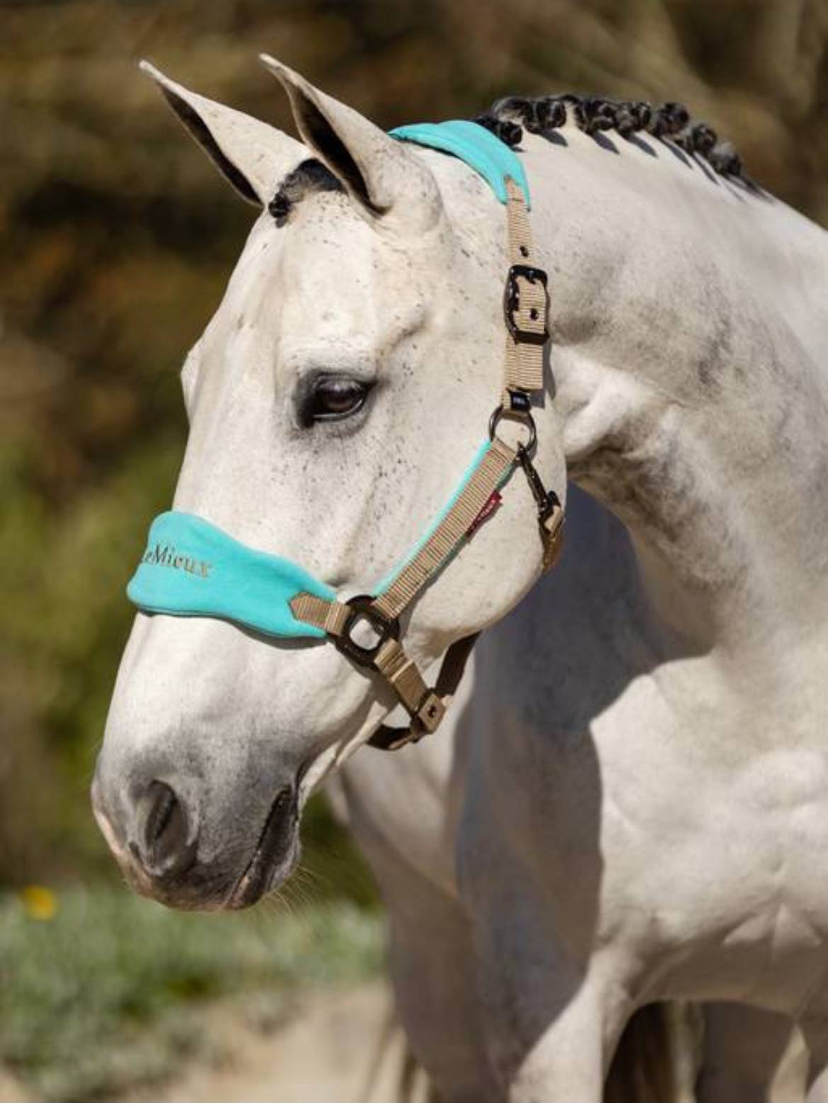 British imported Lemieux nylon webbing horse cage head horse leader+horsepower horse horses horses horses horses saddle