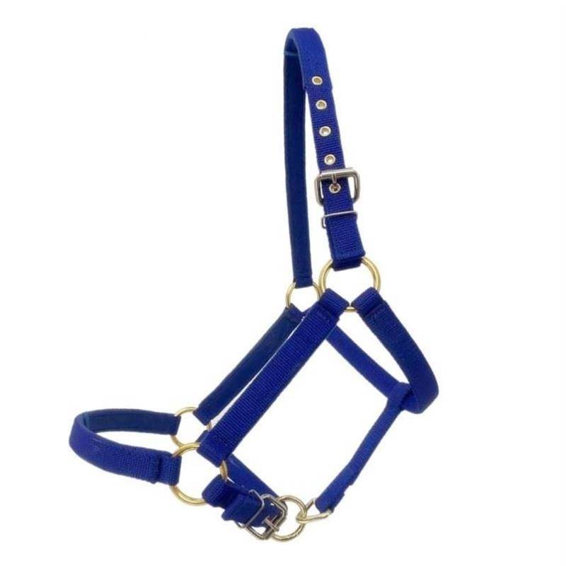 E11-STAMP CAGE L BIG BLUE