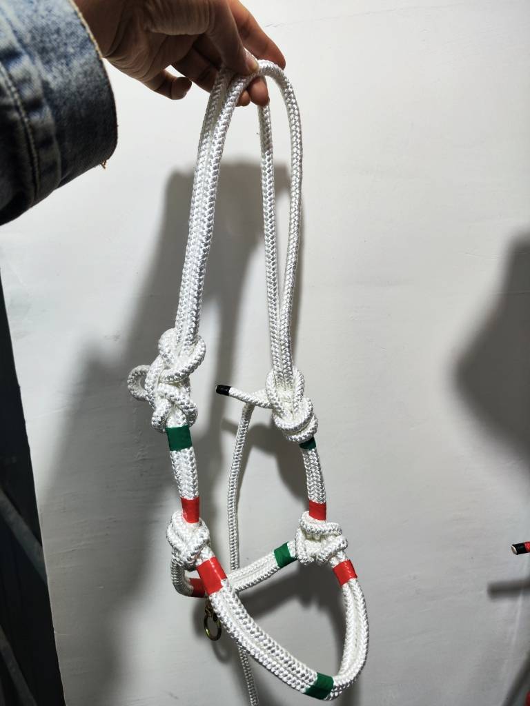 White (500-600 kg)