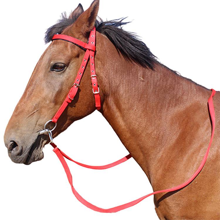 Pony-head ropes ride a pony-squeeze cage with a short-sized pony-lined hood with water-lined mail