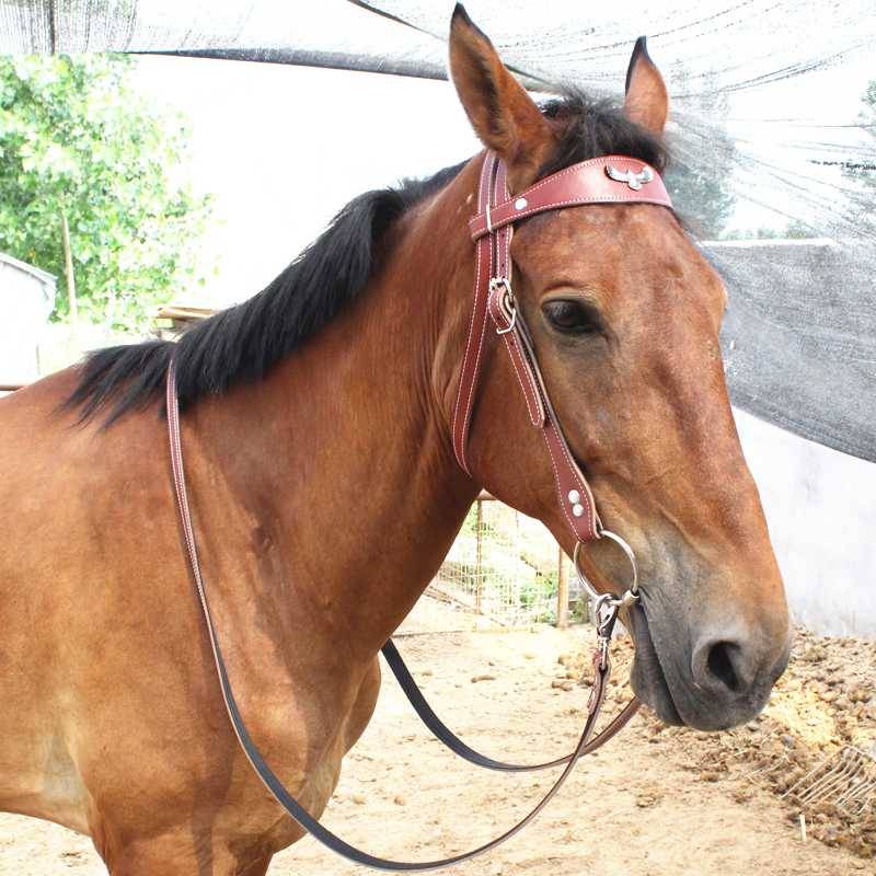Full set of supplies of reins cowhide chewed products, horses, small horses, horses and horses, 10 get 1 get 1 get 1
