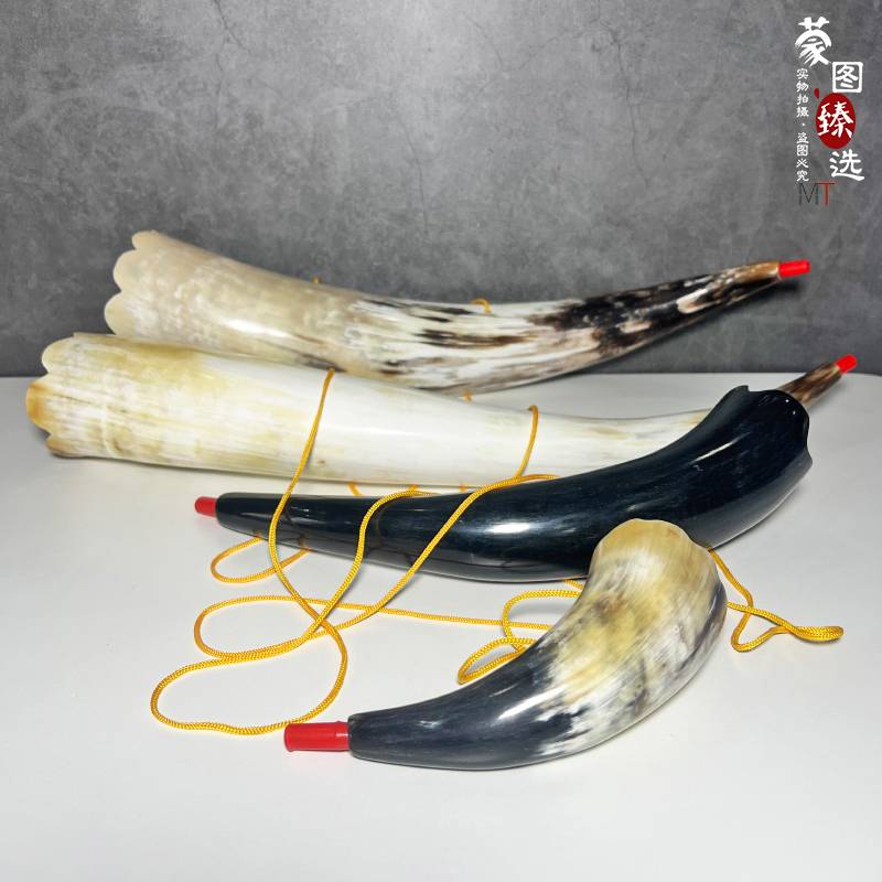 Natural Niujiao horn horn sounds a large Mongolian Mongolian characteristic Inner Mongolia craft stage prop