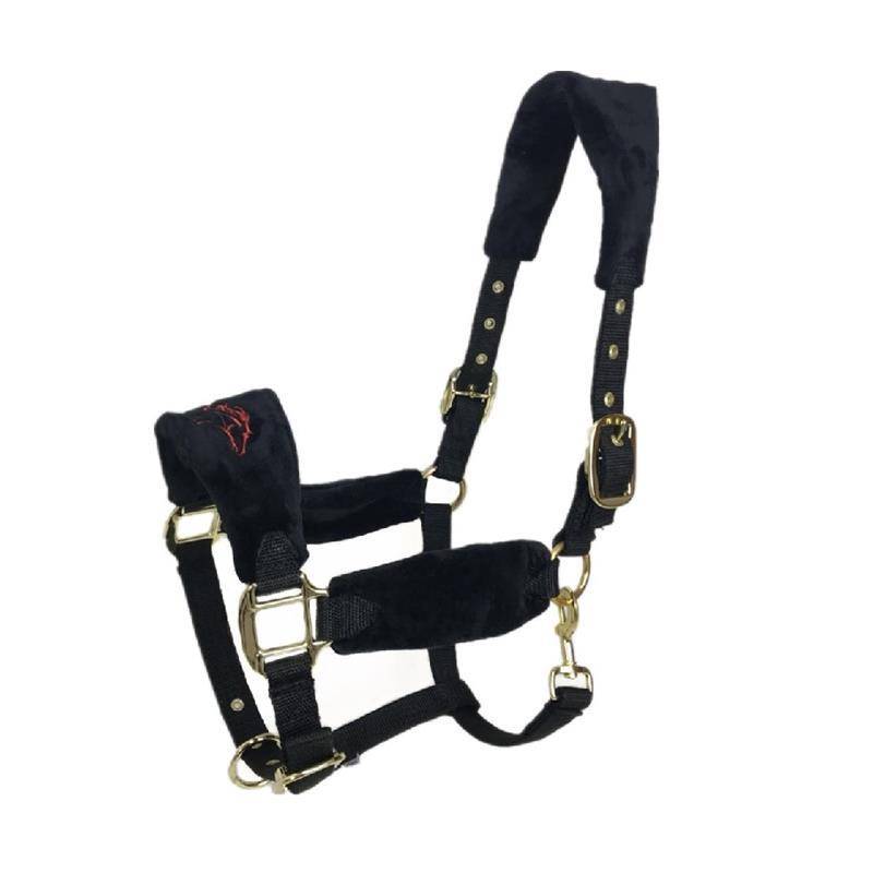 The new Mandarin Horse Horse Horse Equestnically Dwarf Horses Follow -Following Following Professional Shuile Pass Horse Equipment