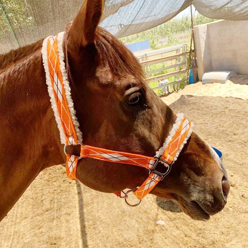 The new Shuile reins tactical horse chewing full set of supplies horse horses large and small horses cage beeper supplies