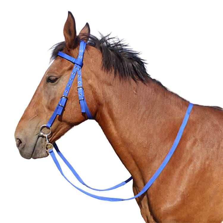 The full set of horseshuto cages can be tuned horses, water horses, iron horse chewing, handmade reins equestrian supplies