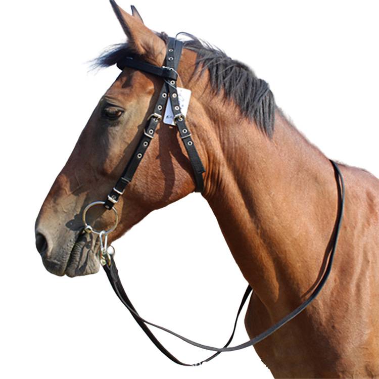 The full set of horseshuto cages can be tuned horses, water horses, iron horse chewing, handmade reins equestrian supplies