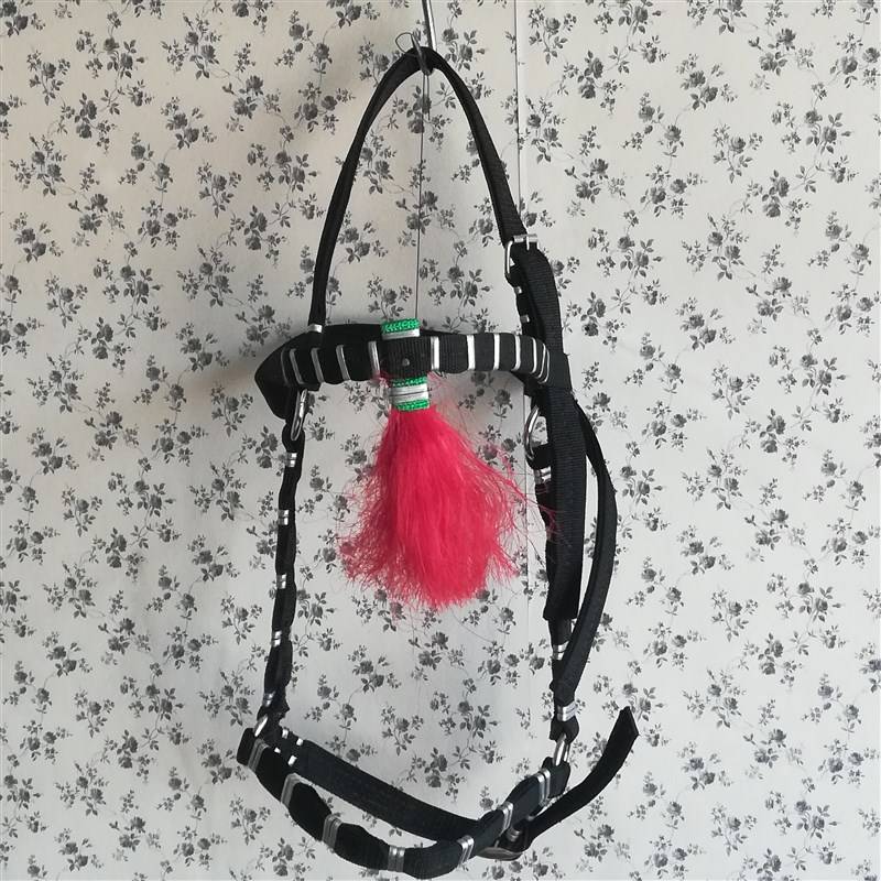 Water Le Dollastic Equestnically, Horse Horse Holding Wedding Travel Car Supplies Horse Cage Set/Horses