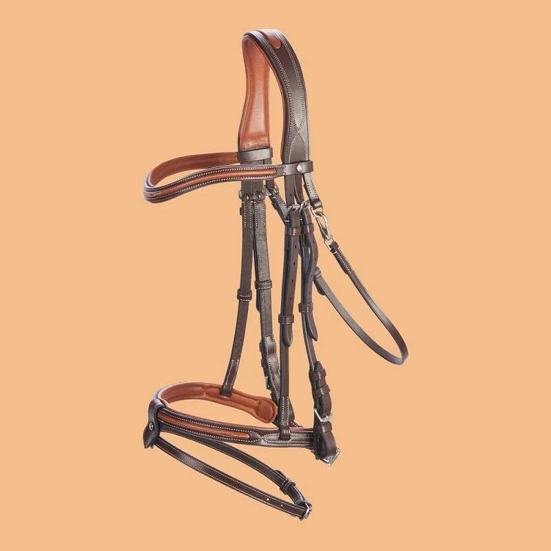 Equipping equipment for 580 ponys with a leather belt and a French-style snout snout